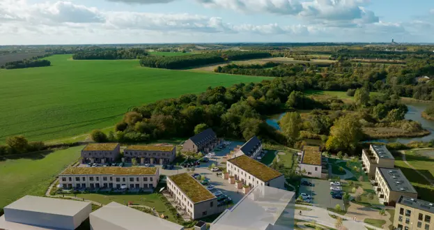 Ahorn Rækkerne Fra Luften Visualisering