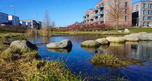 Loopet Med Trædesten Web