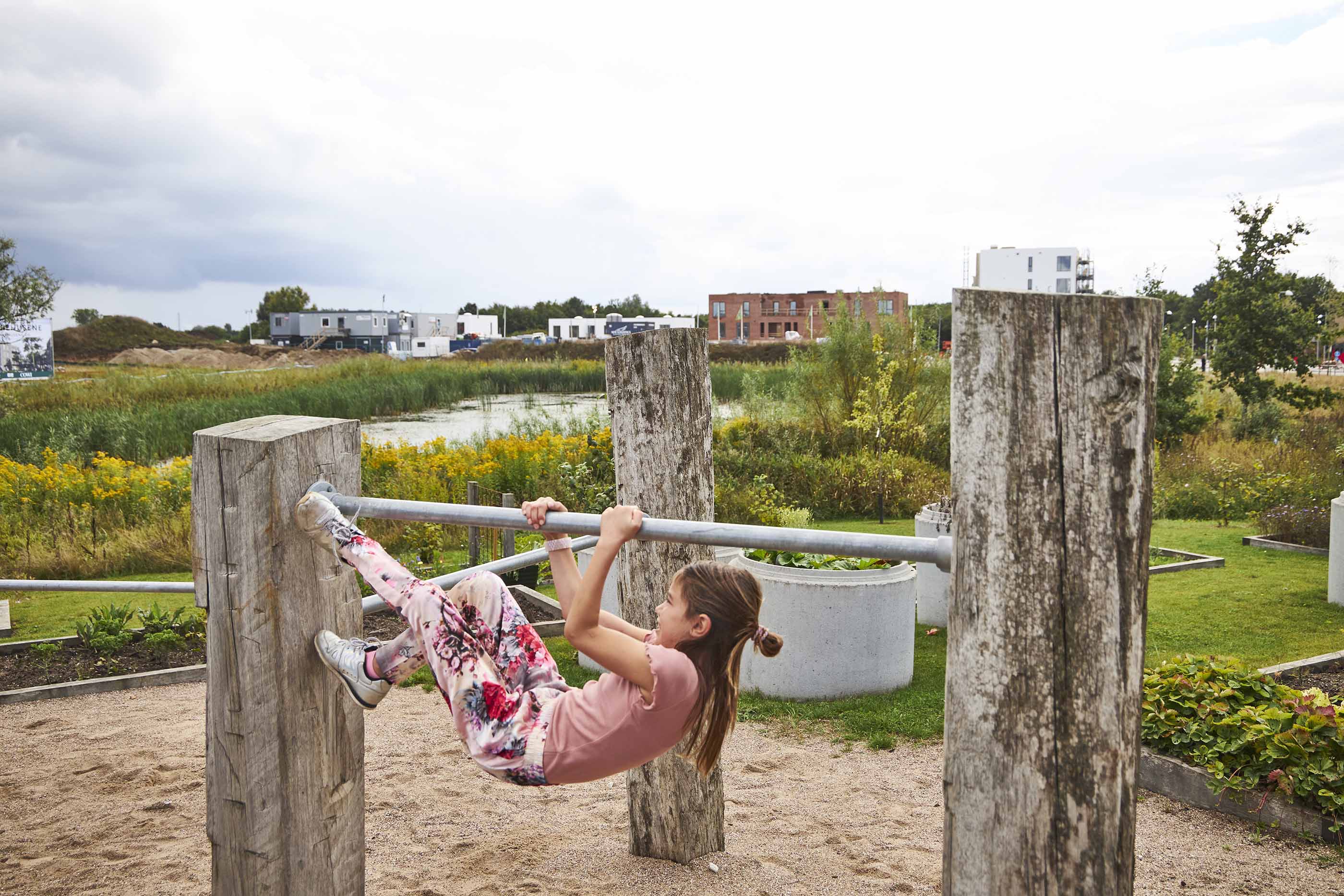 Billede 2 Junglebanen Claus Bjørn Larsen Web